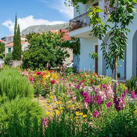 Carpe Diem Guest house 4*