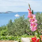 Carpe Diem Gostinjska kuća 4*