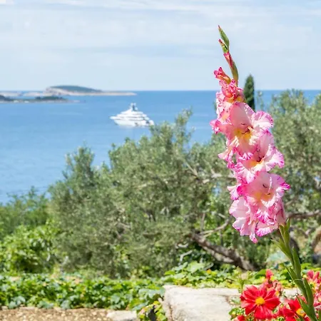 Carpe Diem Πανσιόν 4*